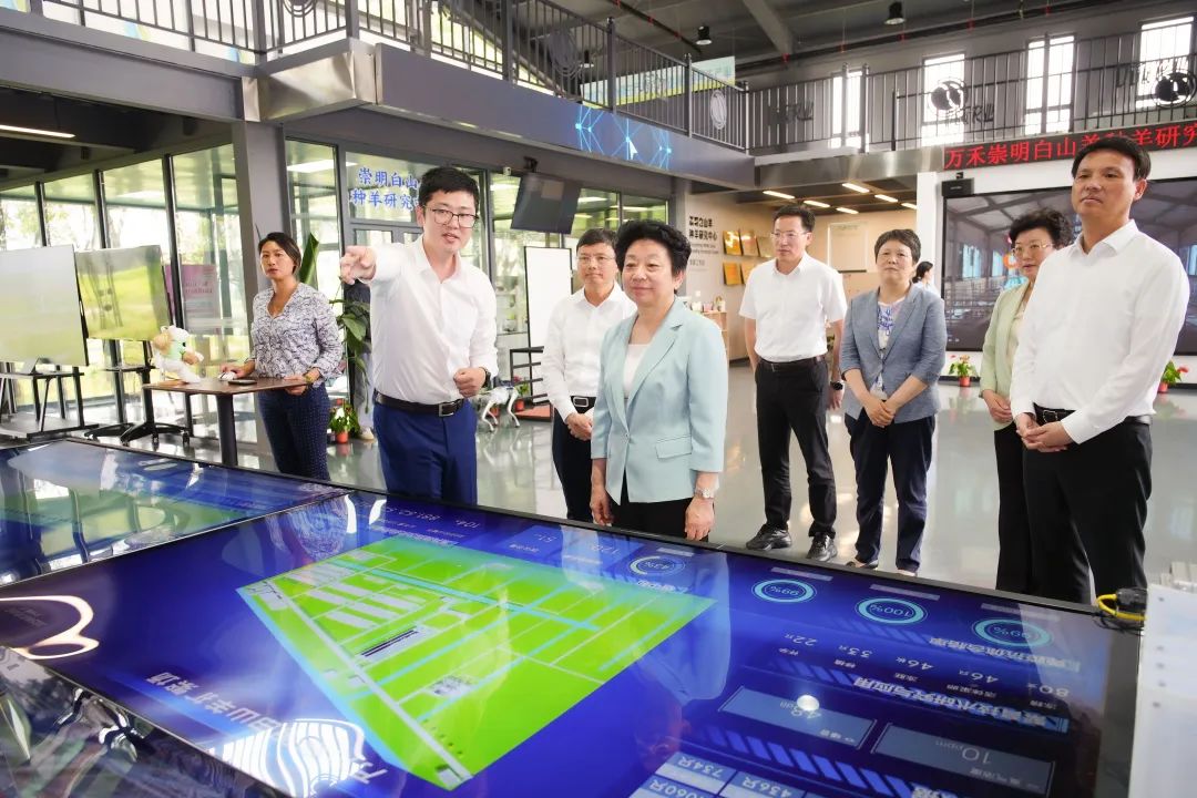 合理性3.jpg