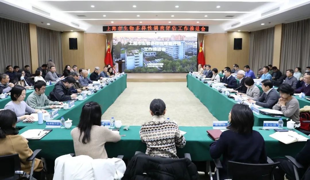 评估会.jpg