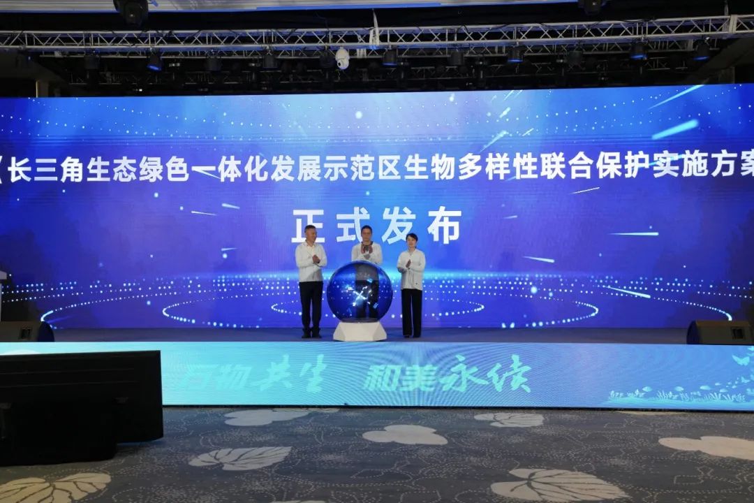 方案.jpg