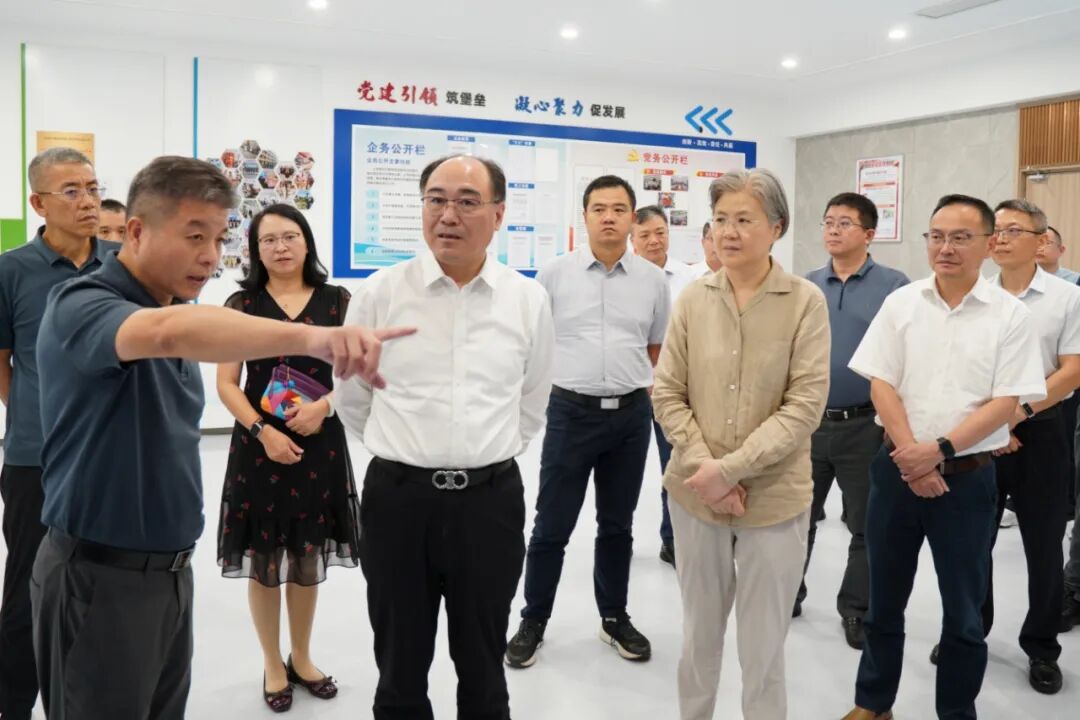 图嘉定.jpg