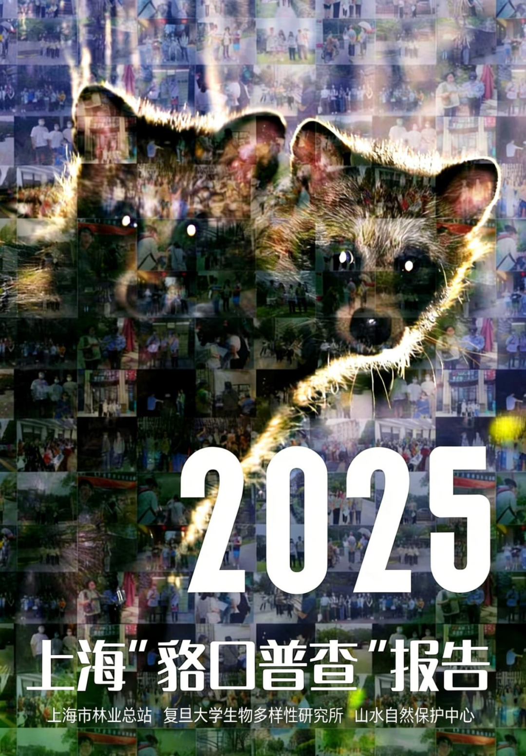 640 (1).png