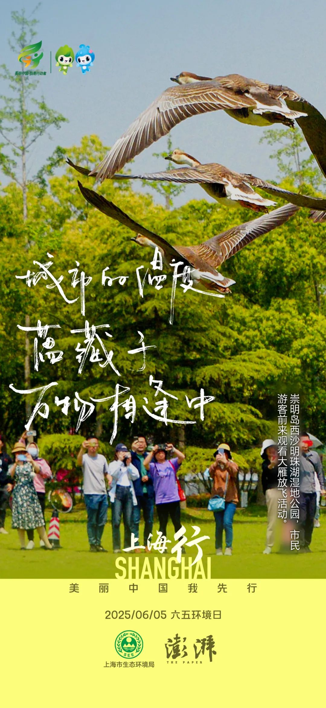 海报5.jpg