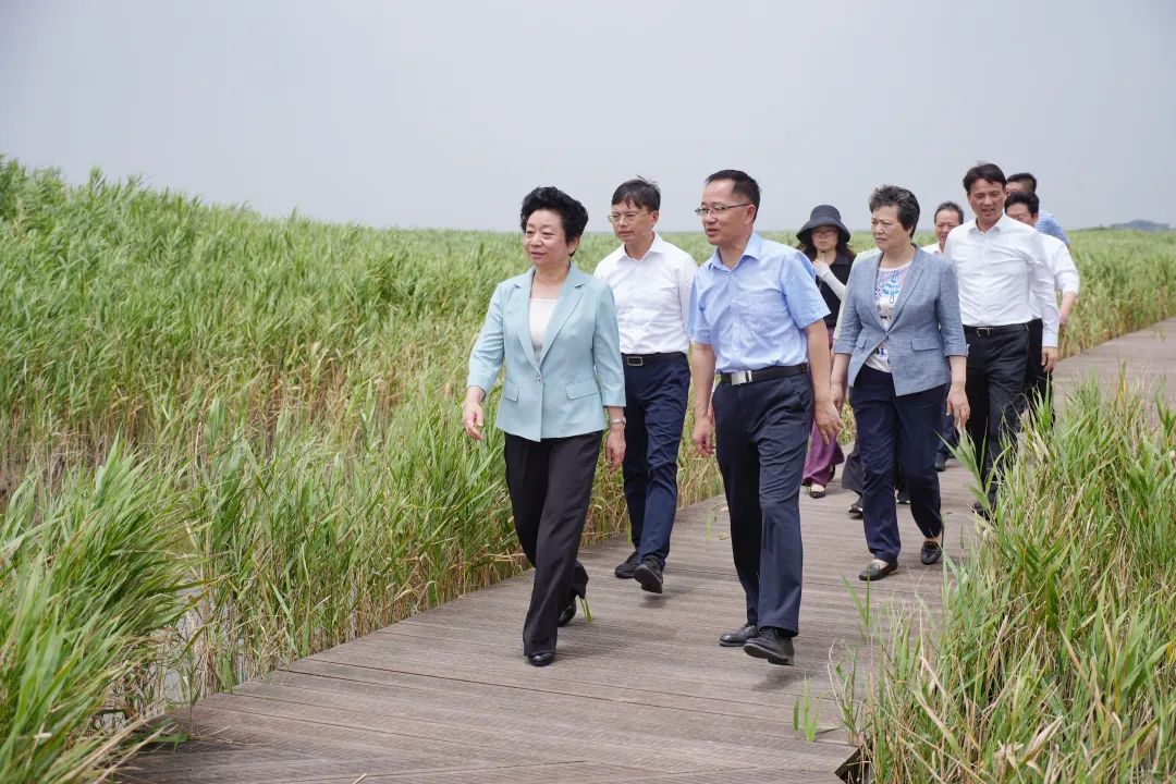 合理性1.jpg